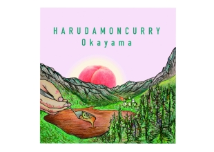 ハルダモンカレーオカヤマ